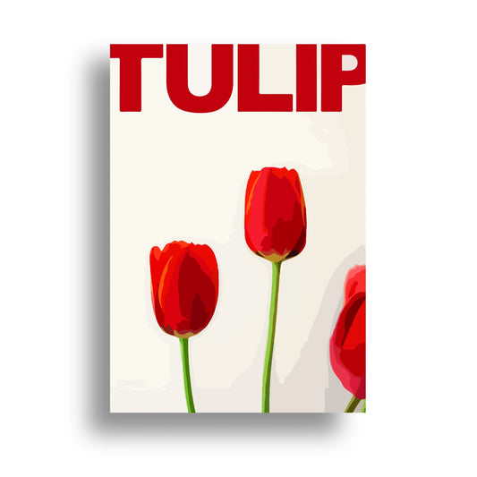 Tulip